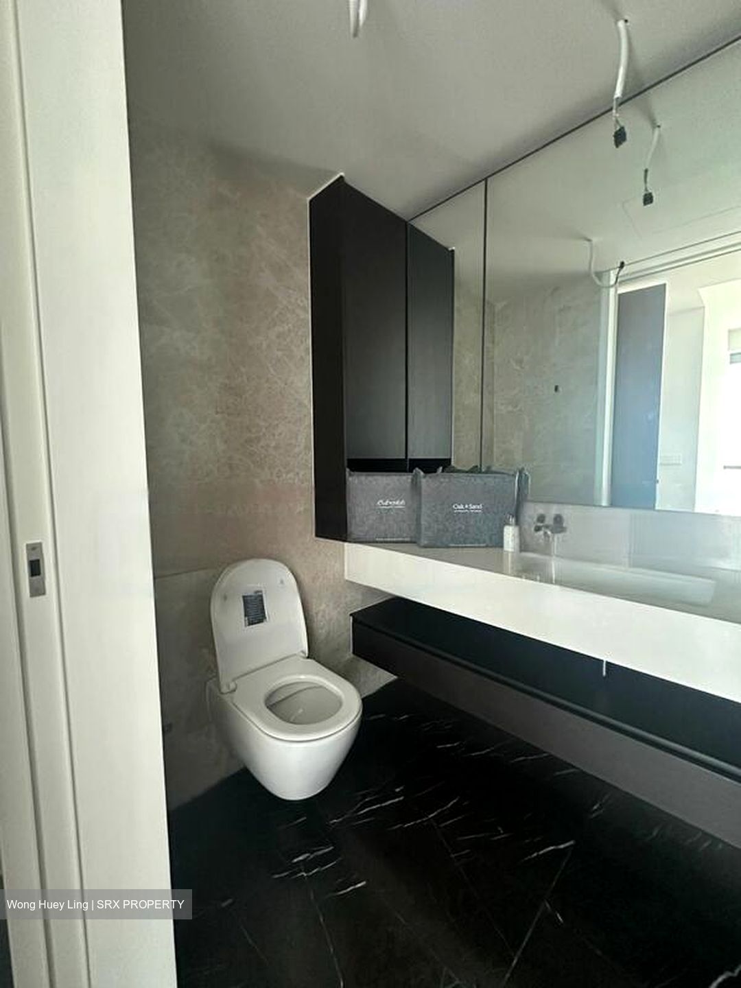 Amber Park (D15), Condominium #562239051